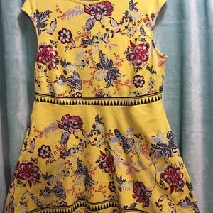 New York & Co. Women’s Dress